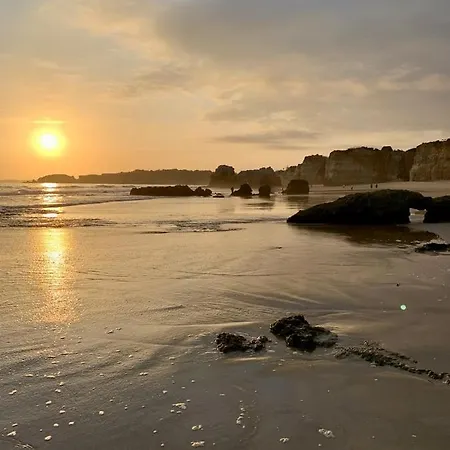 New Stunning Ocean Aprt In Oasis Mar Wi-fi